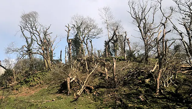 Owner ‘In Shock’ After Tornado Batters Welsh Farm