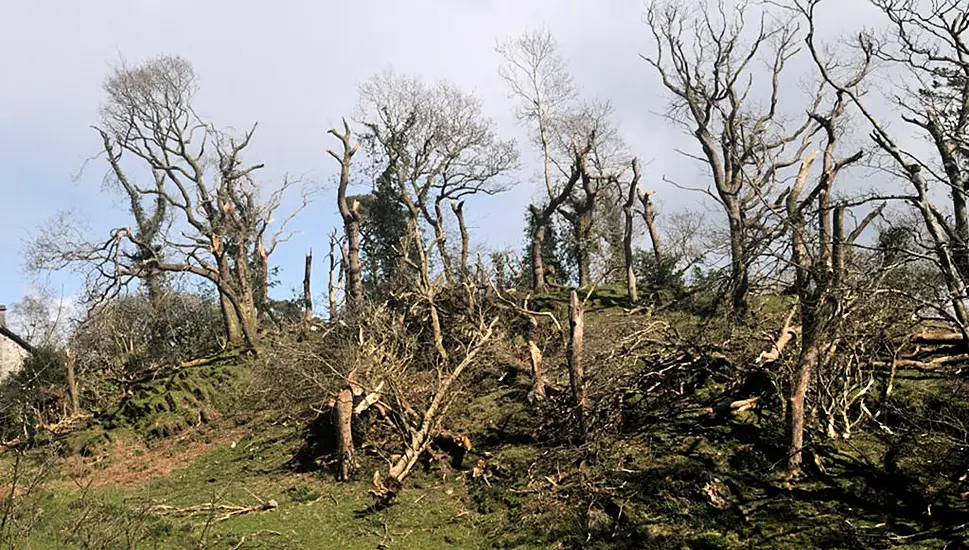 Owner ‘In Shock’ After Tornado Batters Welsh Farm