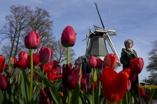 Tulips Take Centre Stage As Netherlands Flower Show Sends Climate Change Message