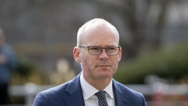 Garda Team Accompanying Coveney In Ukraine A 'Betrayal' Of Defence Forces, Says Td