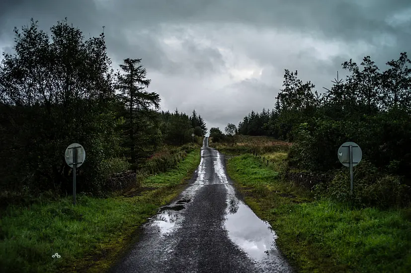 Kilkenny Man Fined €2,000 For Removing Hedgerow