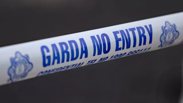 Man (60S) Injured During Meath Aggravated Burglary