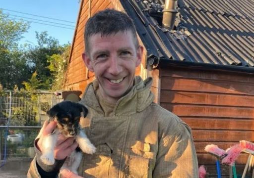 Firefighters Rescue Dogs After Blaze At Shelter In Dublin