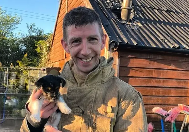 Firefighters Rescue Dogs After Blaze At Shelter In Dublin