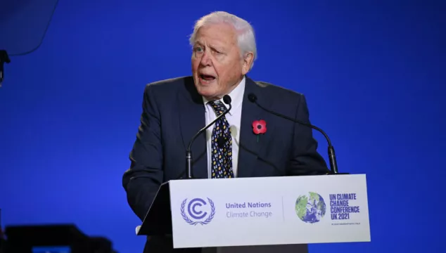United Nations Names David Attenborough Champion Of The Earth