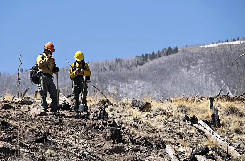 Growing Us Wildfires ‘A Very Chaotic Situation’, Expert Says