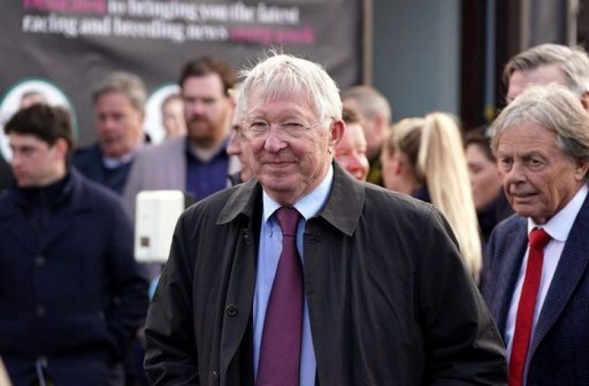 Alex Ferguson Reacts To Ten Hag Appointment At Punchestown