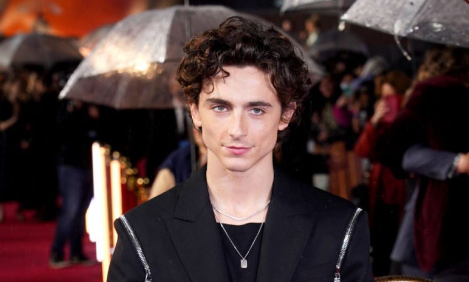 Timothee Chalamet’s Old Vic Debut Cancelled After Pandemic Delays