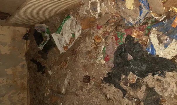Dogs Kept In Darkness Rescued From ‘Deplorable’ Conditions In Tipperary