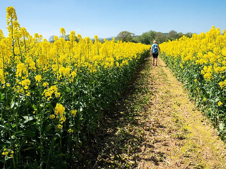 Five Ways To Treat Hay Fever Without Medication