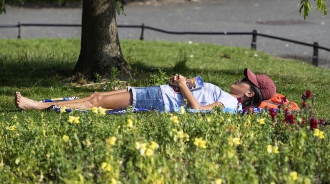 Ireland On Course For Warmest Year Since Records Began