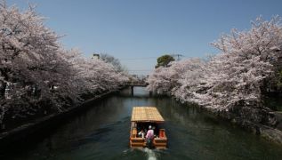 Japan To Allow 'Test Tourism' From May As Step To Full Re-Opening