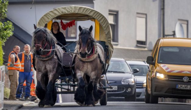 German Woman Swaps Suv For Real Horse Power To Save Money On Work Commute