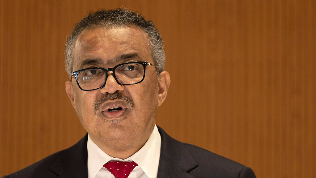 DSÖ uzmanları karardan önce 'maymun çiçeği acil durumu konusunda ayrıldı'