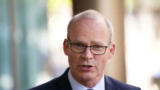 Coveney Says Conservative Party Divisions Could Be Concern For North