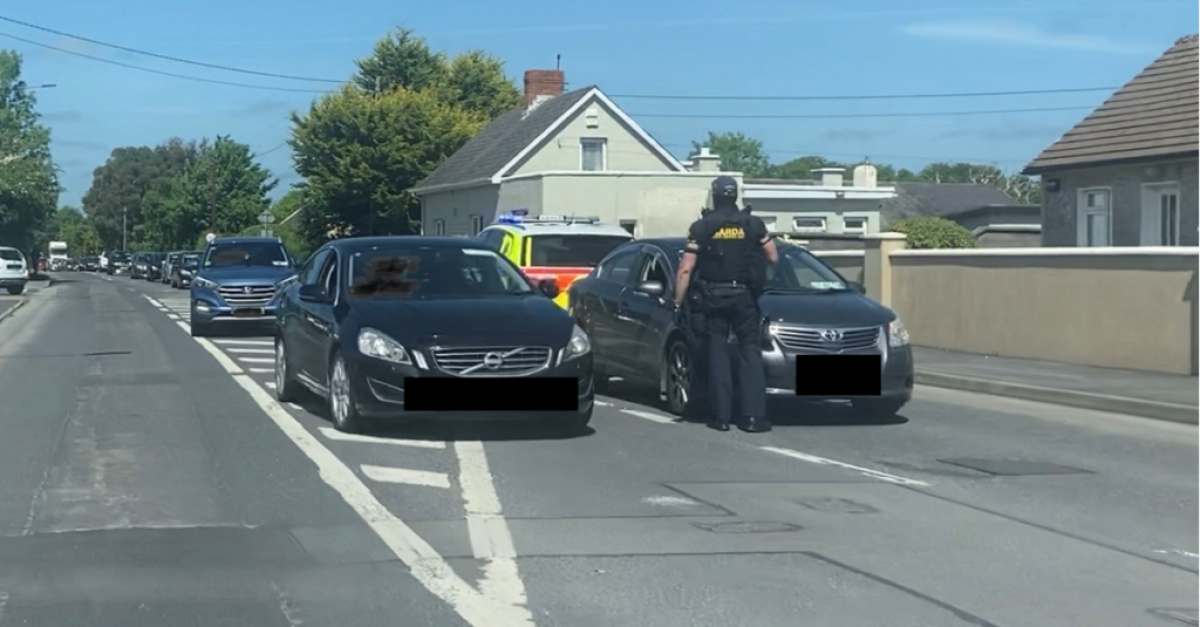 Armed Gardaí Arrest Man Near Clare Limerick Border 3475