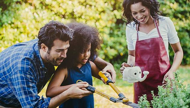 6 Expert Tips To Get Your Garden Summer Ready On A Budget