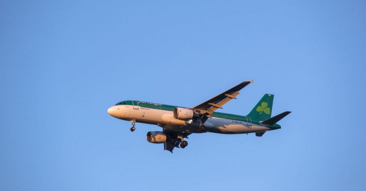 Aer Lingus flight cancellations will affect 4 000 people this weekend