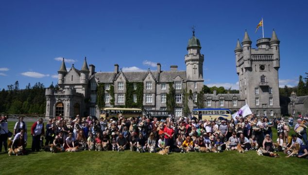 More Than 70 Corgis Gather At Scottish Castle For Queen Elizabeth’s Platinum Jubilee