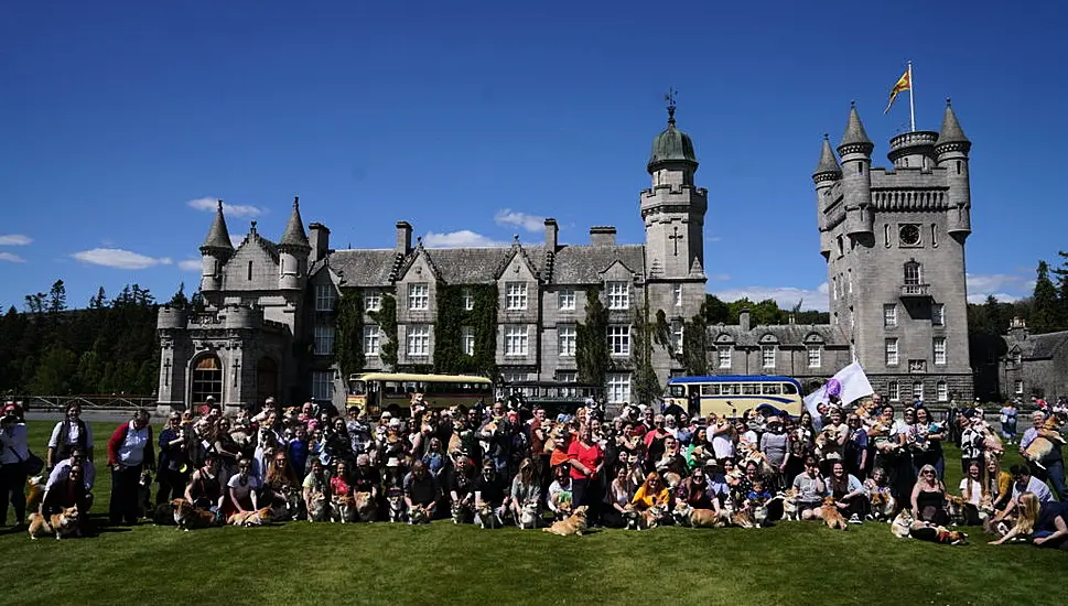 More Than 70 Corgis Gather At Scottish Castle For Queen Elizabeth’s Platinum Jubilee