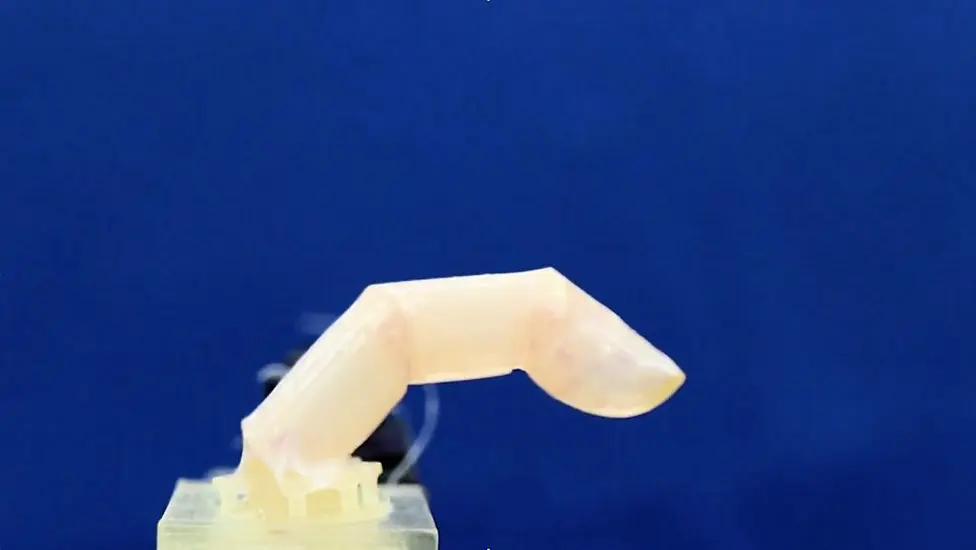 Scientists Create Living Human Skin For Robots