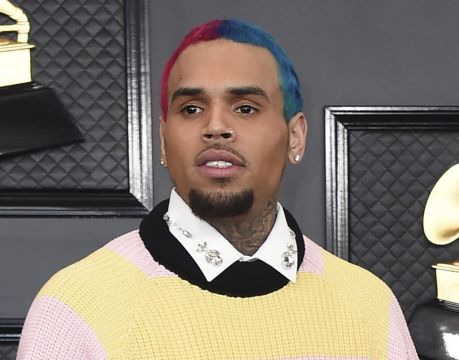 Us Animal Breeder Sentenced For Illegally Selling Monkey To Chris Brown