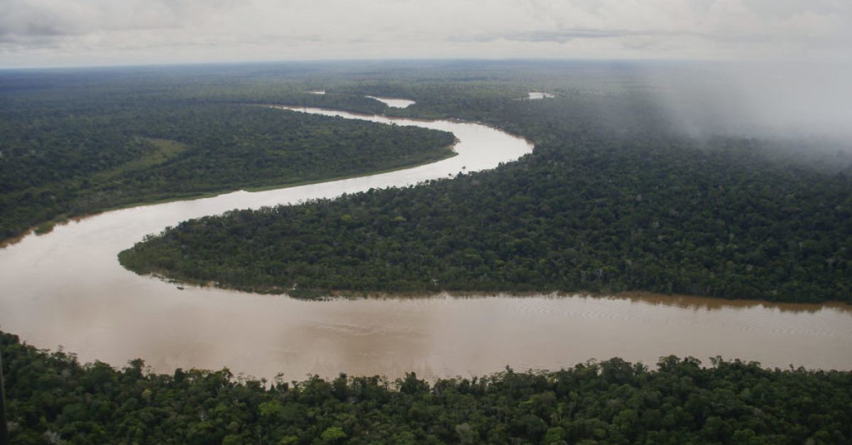 Исчезновение пары в бразильской Амазонии связывают с «охотничьей мафией»