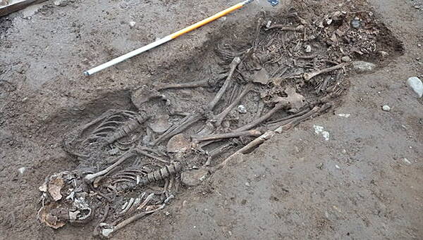 Kildare Nationalist — Men found in shallow grave under Cork pub met a 'violent' death centuries ago - Vimarsana News