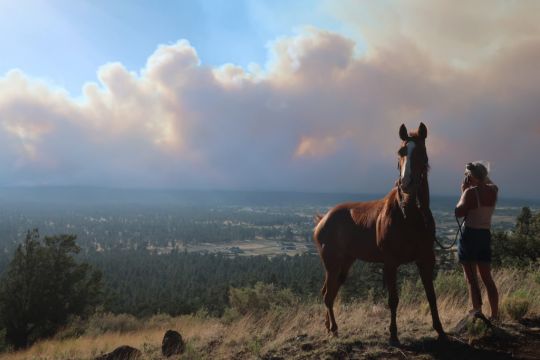 Growing Arizona Wildfire Forces Evacuations