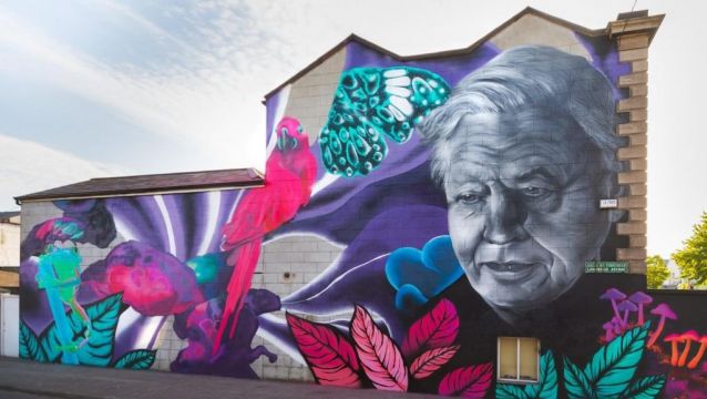 Dublin City Council To Drop Legal Case Against Art Group For Street Murals