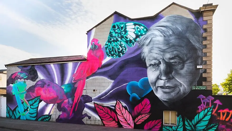 Dublin City Council To Drop Legal Case Against Art Group For Street Murals