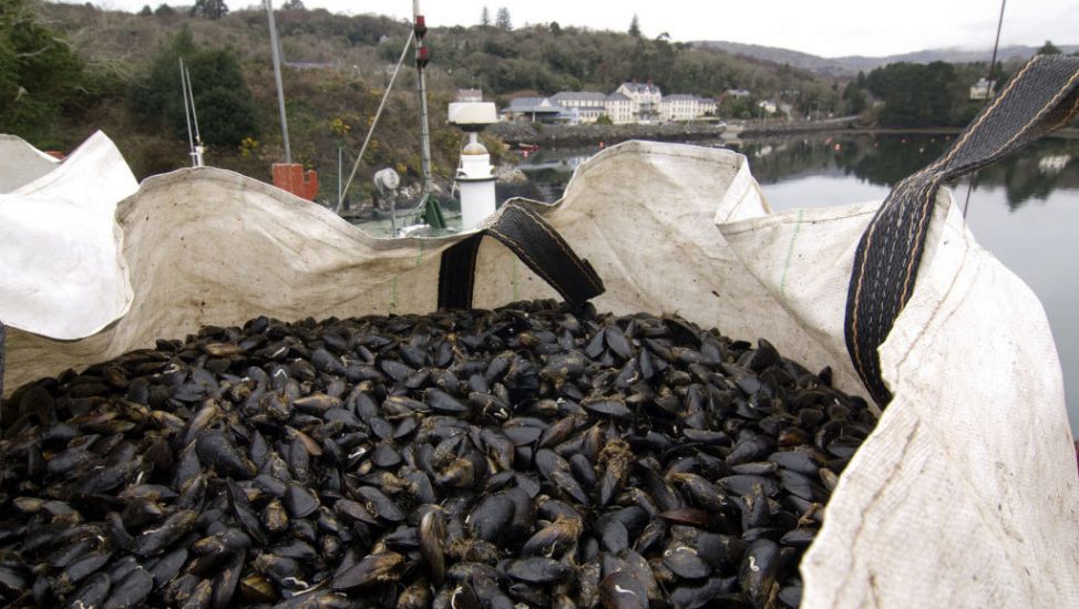 Warning Issued Over Shellfish From Kerry Harbour Due To Dangerous Toxins