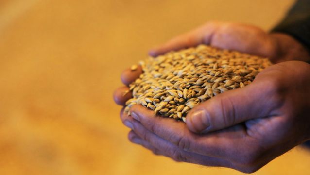 Ireland Could Face Food Crisis In Winter As Grain Shortage Takes Hold