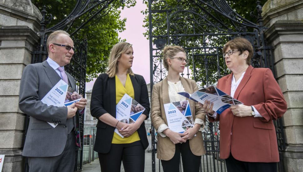 Budget 2023: Svp Calls For €20 Weekly Increase To Social Welfare Rates