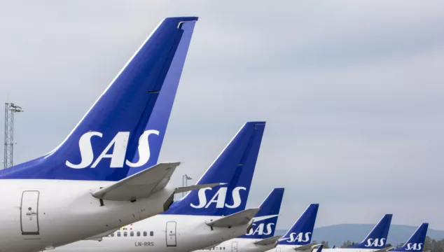 Pilot Strike Grounds More Sas Flights As First Bankruptcy Protection Court Date Nears