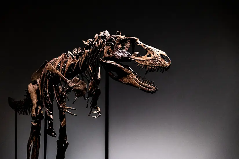 76 Million-Year-Old Dinosaur Skeleton To Be Auctioned In New York