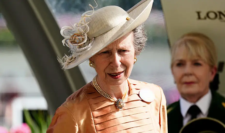 Britain's Princess Anne Attends Garden Party At North's Hillsborough Castle