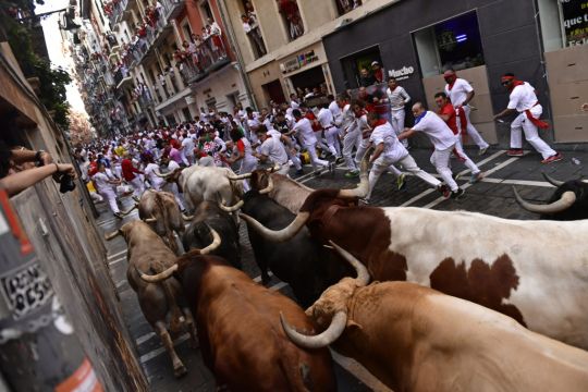 First Bull Run Held In Pamplona As Festival Returns Following Pandemic