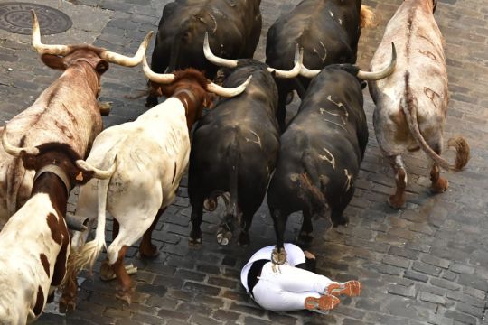 Six Injured In Second Pamplona Bull Run