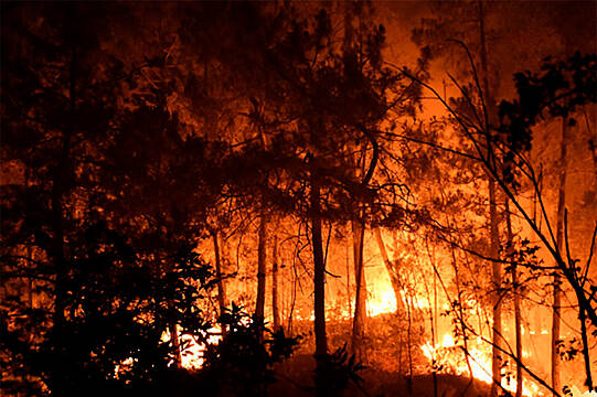 Almost 1,000 Firefighters Battle Massive Fire In South-East France