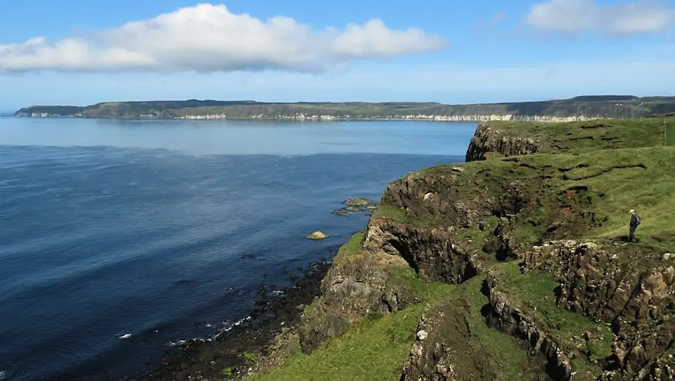 Bird Flu Detected On Rathlin Island