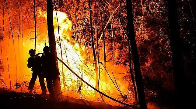 Firefighters, Aircraft Fight Wildfires Near France's Mediterranean Coast