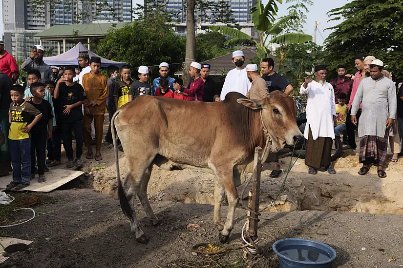 Indonesian Muslims Celebrate Eid Al-Adha Amid Outbreak Of Foot-And-Mouth Disease