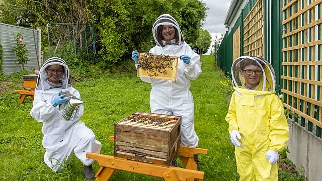 Cork Hospital Installs Hives To Ease Children’s Bee And Wasp Sting Fears