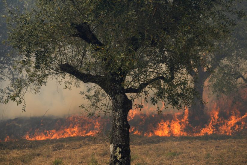 Villages Battle Wildfires In Portugal As Europe Swelters
