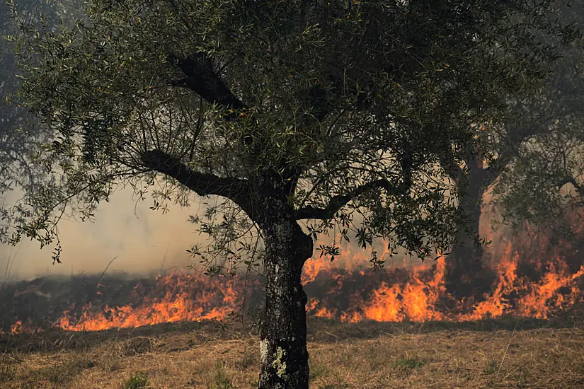 Villages Battle Wildfires In Portugal As Europe Swelters