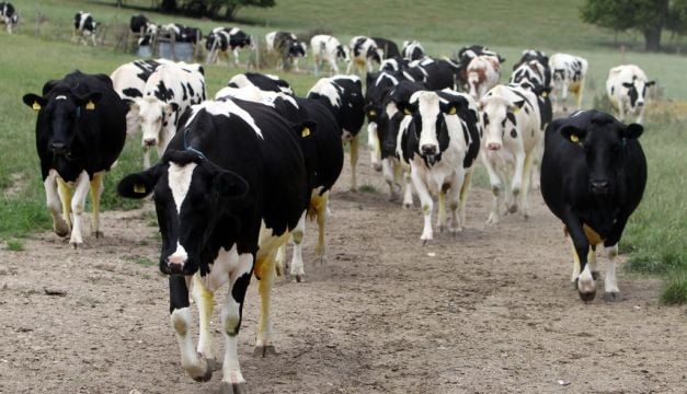 Eamon Ryan Hopes To See Targets To Cut Emissions Published This Month