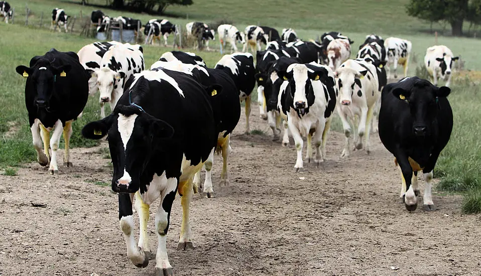 Eamon Ryan Hopes To See Targets To Cut Emissions Published This Month