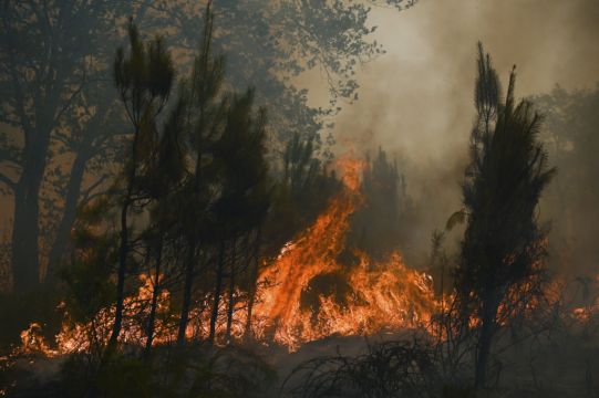 Man Held As Police Probe Raging Wildfires In France