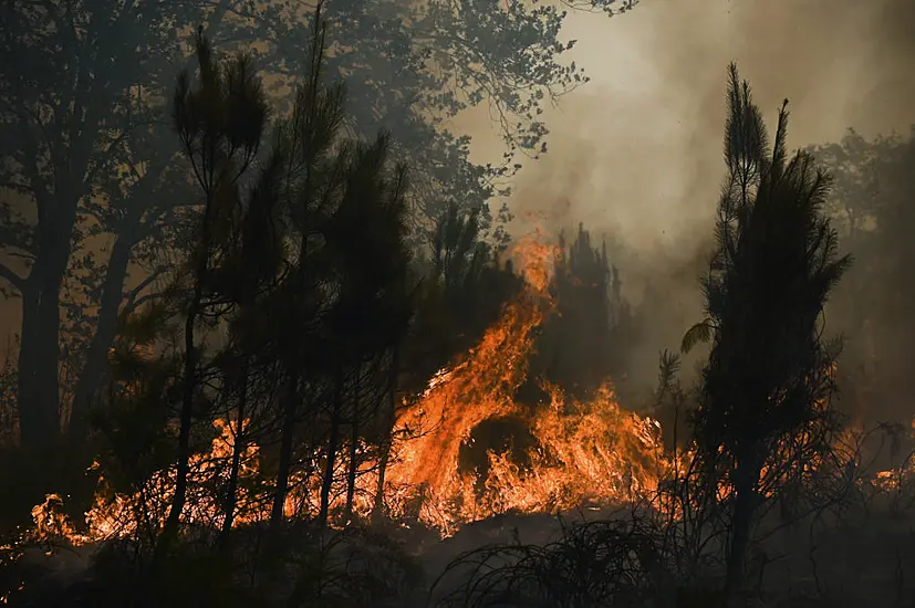 Man Held As Police Probe Raging Wildfires In France